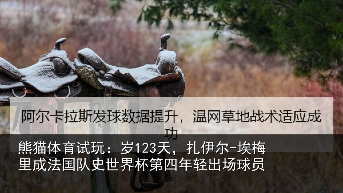 熊猫体育试玩：岁123天，扎伊尔-埃梅里成法国队史世界杯第四年轻出场球员