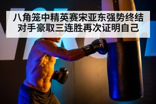 八角笼中精英赛宋亚东强势终结对手豪取三连胜再次证明自己