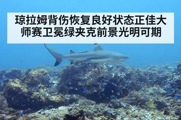 琼拉姆背伤恢复良好状态正佳大师赛卫冕绿夹克前景光明可期