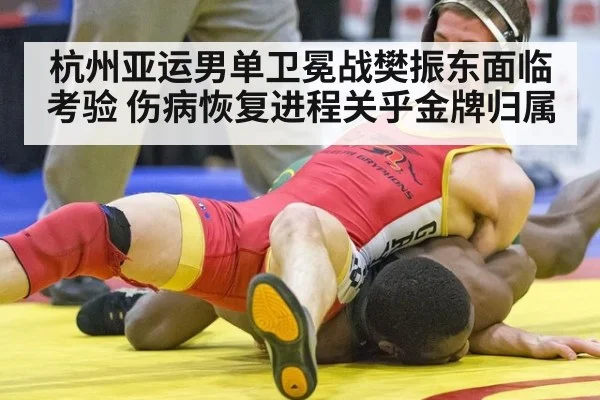 杭州亚运男单卫冕战樊振东面临考验 伤病恢复进程关乎金牌归属